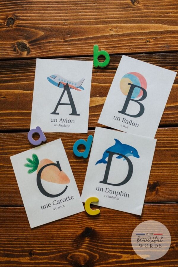 French - English Alphabet cards